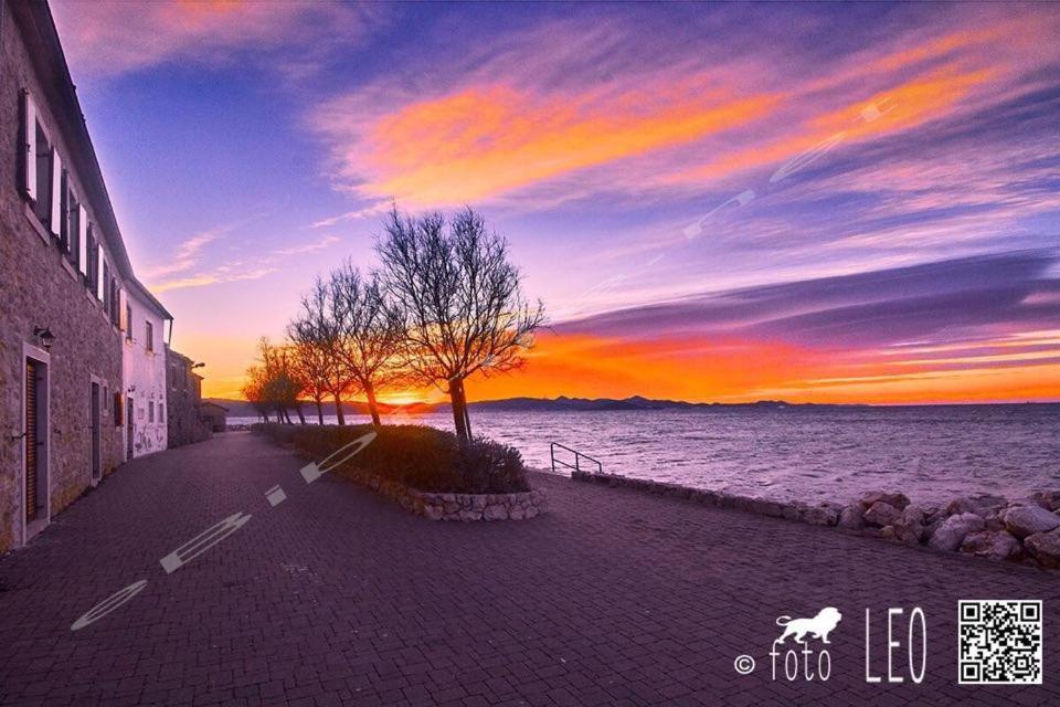 Apartments Adrian Bibinje Dış mekan fotoğraf